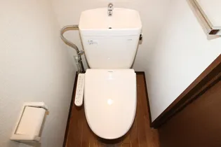 ルピナス B101【1階】の内装