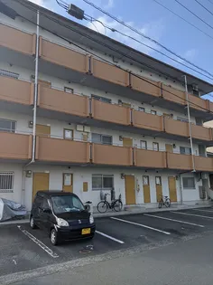 エッグマンション【3階】の外観