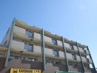 AURA STELLA SHIMURAの画像