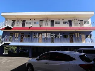 サンマリノ天神の画像