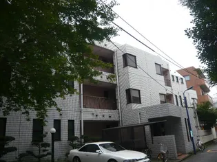 ジュエルフラワーの画像