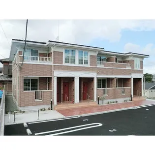 フェリチターレの画像