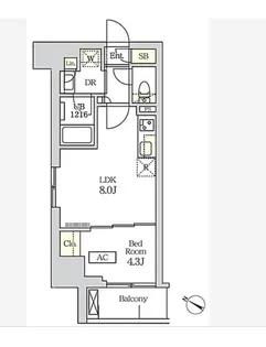 コスモグラシア新宿西早稲田【11階】の間取り