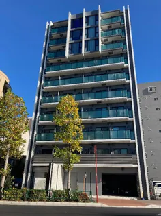 ダーシャモリの画像