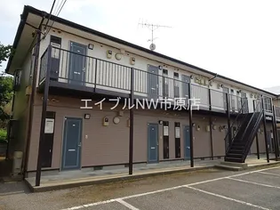 スカイピュア光の画像