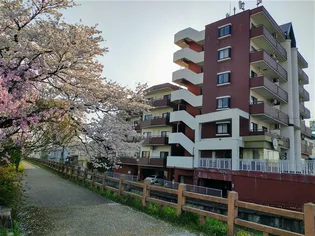 信開ドムス松川【3階】の外観