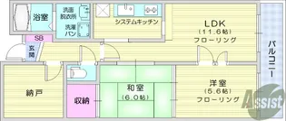 ダイアパレス泉崎【1階】の間取り