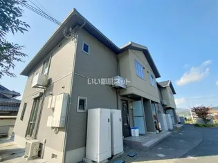 アプリコットの画像