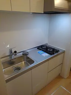 メゾン・ド・ターキー【1階】のキッチン