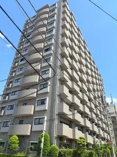 レクセルプラザ西川口【10階】の外観