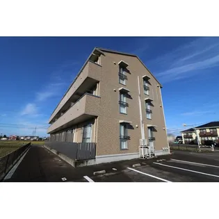 チューリップ フィールドの画像