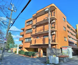 ダイアパレス安野屋【2階】の外観