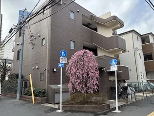 小塚ハイム【1階】の外観