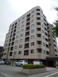 ベル ソフィアの画像