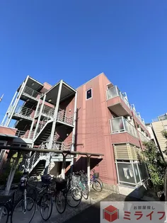 スペランツァの画像