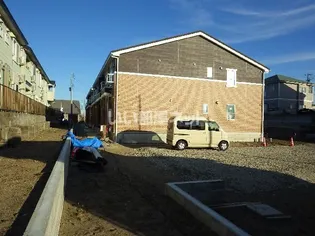 コリーヌBの画像