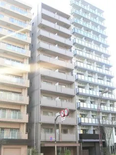 MLコート木場【8階】の外観