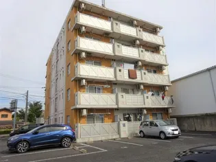 IDEALVIDA芳川の画像