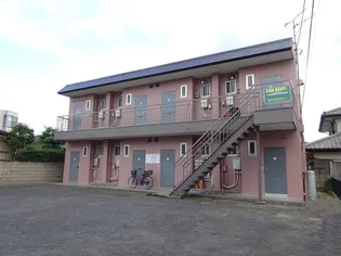 サンフラワーの画像