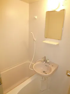 ウェルフェアーII【3階】の風呂