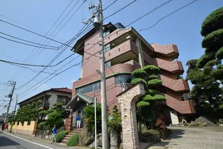シャングリア丸太の画像