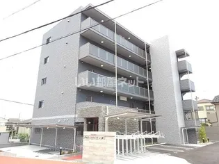 カメリアYIIの画像