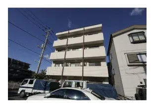 エムティパレスの画像