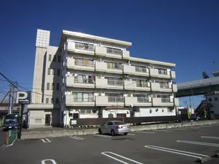 フエリシア浅野の画像