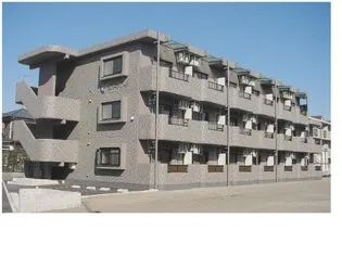 エバーグリーンの画像