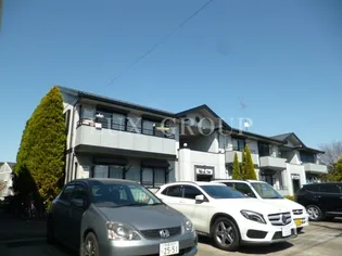 ブルーフォックスの画像