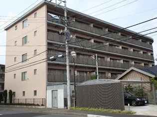 パーマナント洞峰2の画像