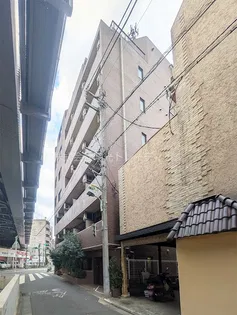 シンシア学芸大学セカンドステージの画像