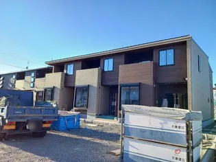 プリムラ IIの画像