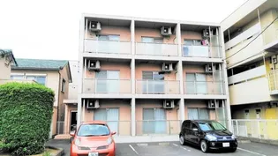 ノイン ステラの画像