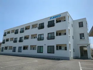 ニッカンの画像