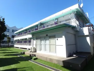 プレミア桜の画像