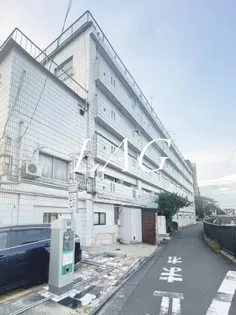 verde【5階】の外観