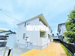 ブルームの画像