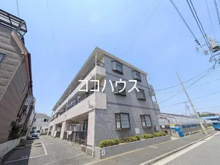 ヴィーア パルコB棟の画像