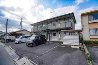 セフィラササキの画像