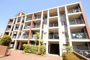 アルタカーサの画像