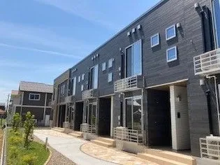 アイリスの画像