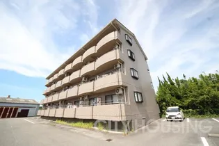 サンテ・ヴィラ住吉弐番館【4階】の外観