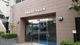 草加氷川ローヤルコーポ【8階】の外観