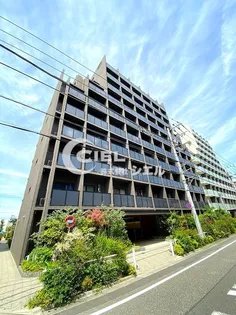 クレヴィスタ板橋西台II【9階】の外観