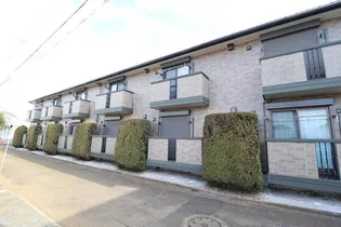 プリムローズの画像