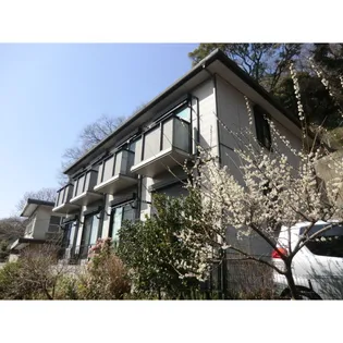 ミア コート金沢文庫の画像