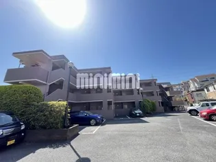 スカイハイムIIの画像