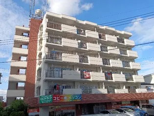 ソリッドリファイン蕨の画像