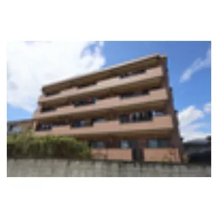 PRIMA VERA Ⅴの画像